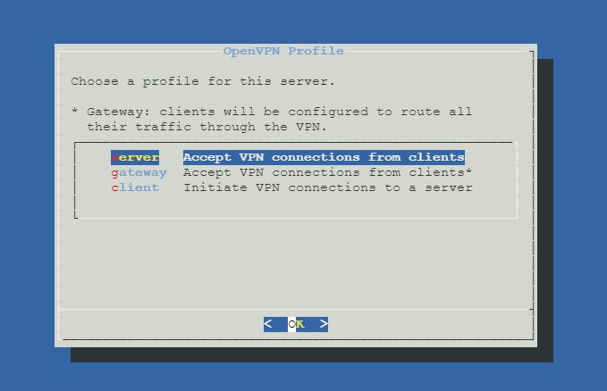 Openvpn turnkey setup